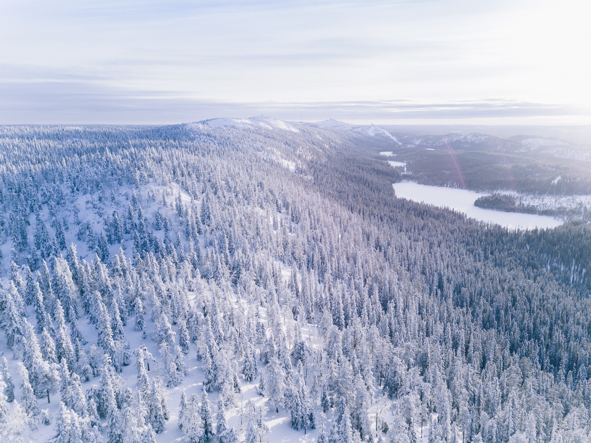 Aerial view of winter forest covered in snow.